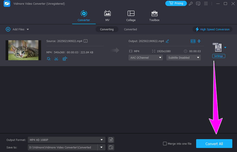 すべてを低解像度に変換（Vidmore）