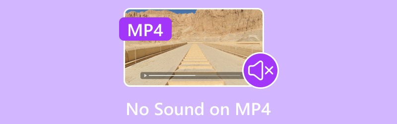 MP4 で音が出ないときの対処法