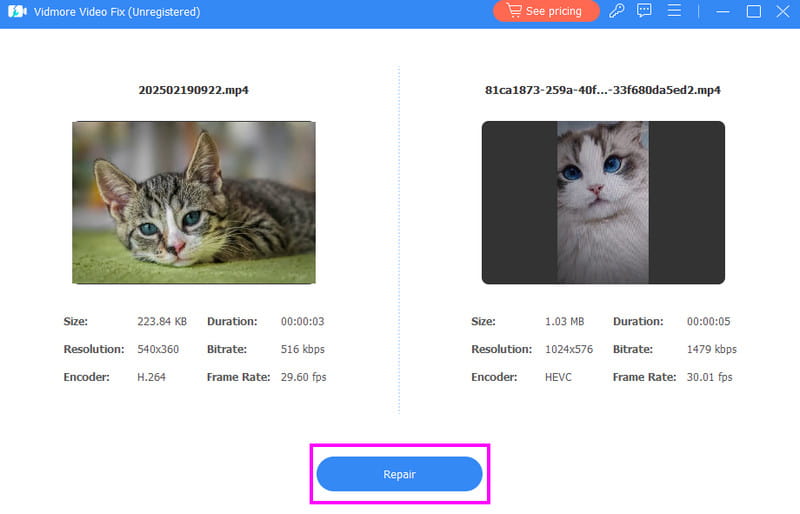動画修復 プレビュー Vidmore