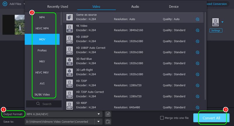 形式を選択して動画を変換 – Vidmore