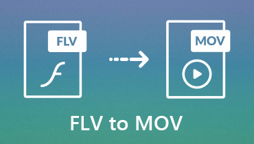 FLVからMOVへ–バッチ処理で大きなFLVビデオをオンラインおよびオフラインでMOVに変換
