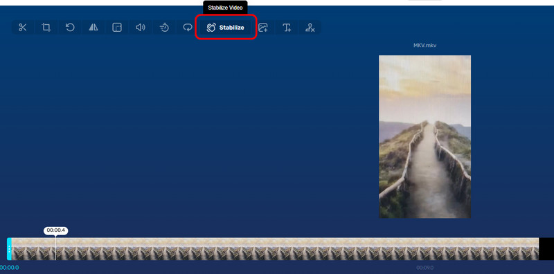 Stabilize Video オプション 123apps