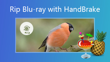 ハンドブレーキのチュートリアル–ハンドブレーキであらゆる種類のブルーレイディスクをリッピング