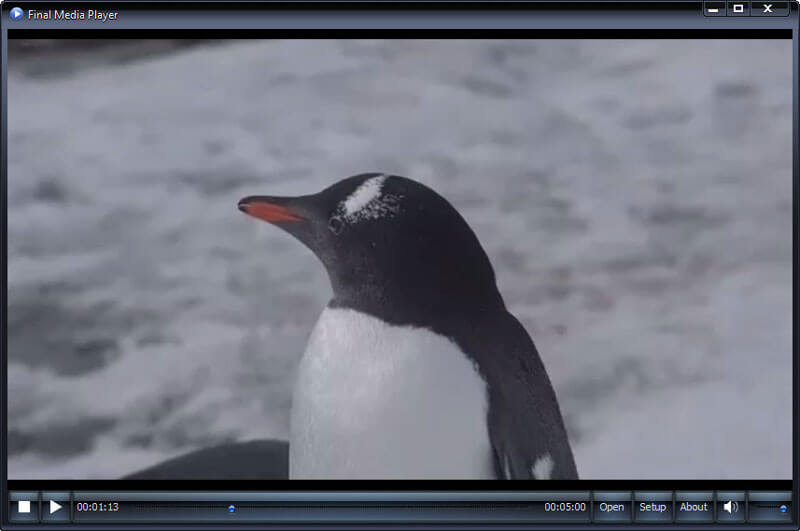 Final Media Player