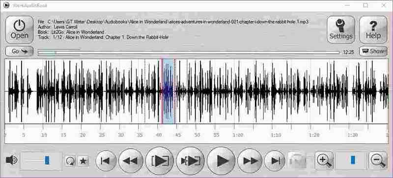 WorkAudioBook